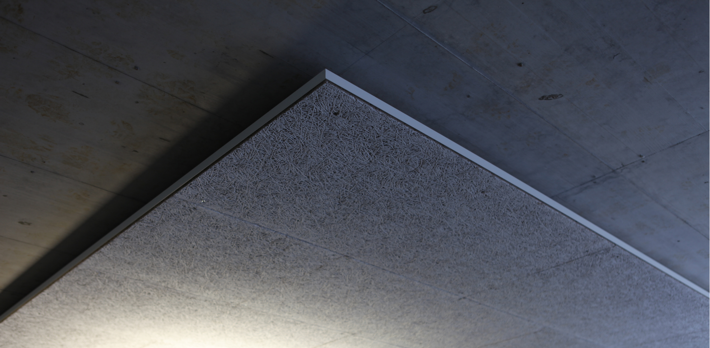 w-d-Header-1142x560